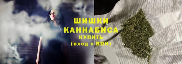 винт Карпинск