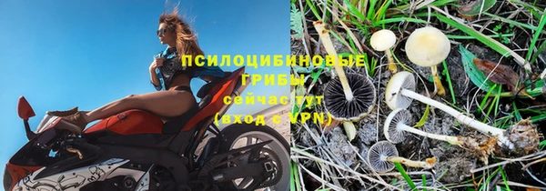 винт Карпинск