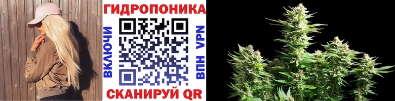 Купить  Горячий Ключ  Марихуана план 